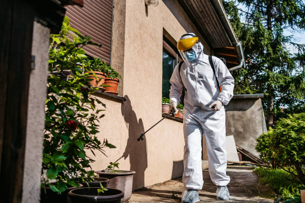 Best Flea Control Services  in Baxter, MN