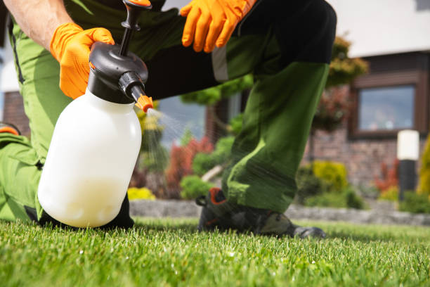 Reliable Baxter, MN Pest Control Solutions