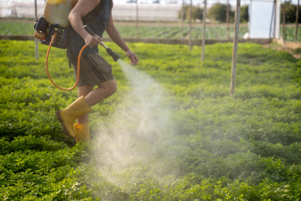 Pest Prevention Services in Baxter, MN