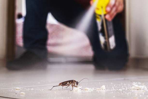Best Bed Bug Extermination  in Baxter, MN